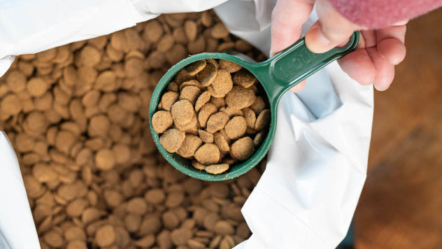 Pet Food
