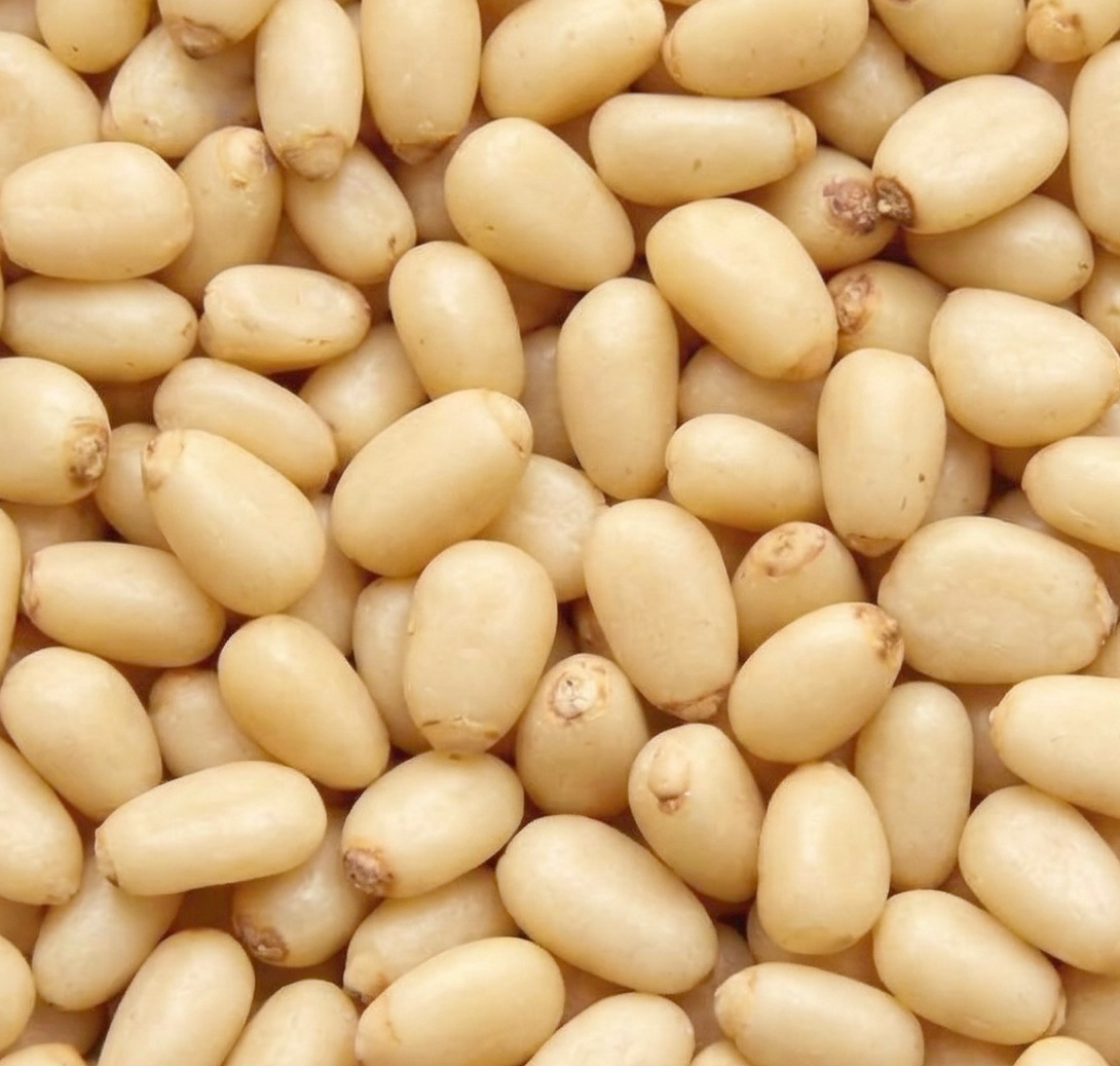 Cedar Pine Nuts