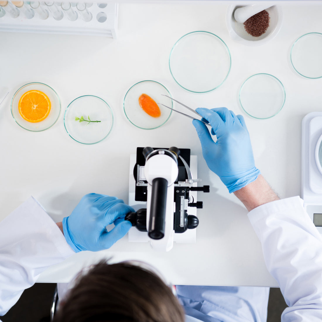 Ingredient validation for functionality, stability, and processing performance