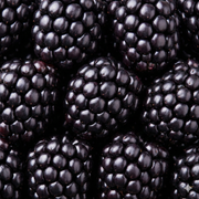 Blackberries
