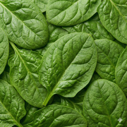 Spinach