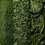 MicroDried Kale